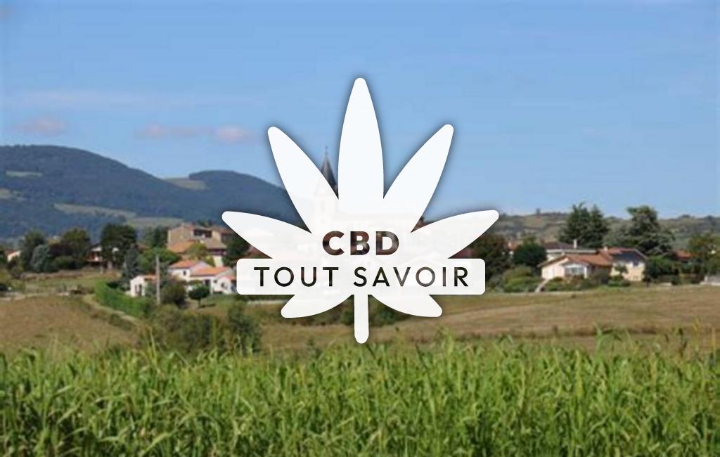 Village à Saint-Joseph avec feuille Cannabis CBD
