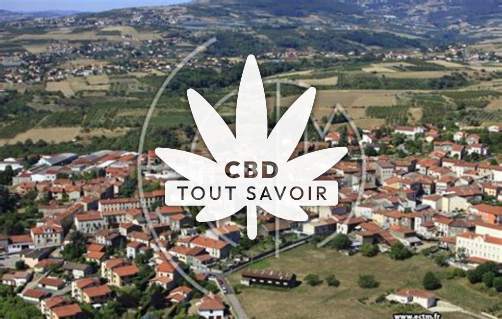 Village à Saint-Martin-la-Plaine avec feuille Cannabis CBD