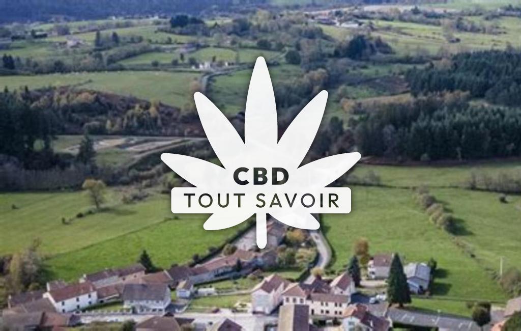 Village à La-Tuiliere avec feuille Cannabis CBD