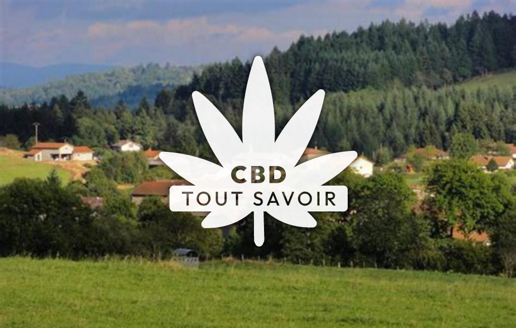 Village à Saint-Priest-la-Prugne avec feuille Cannabis CBD