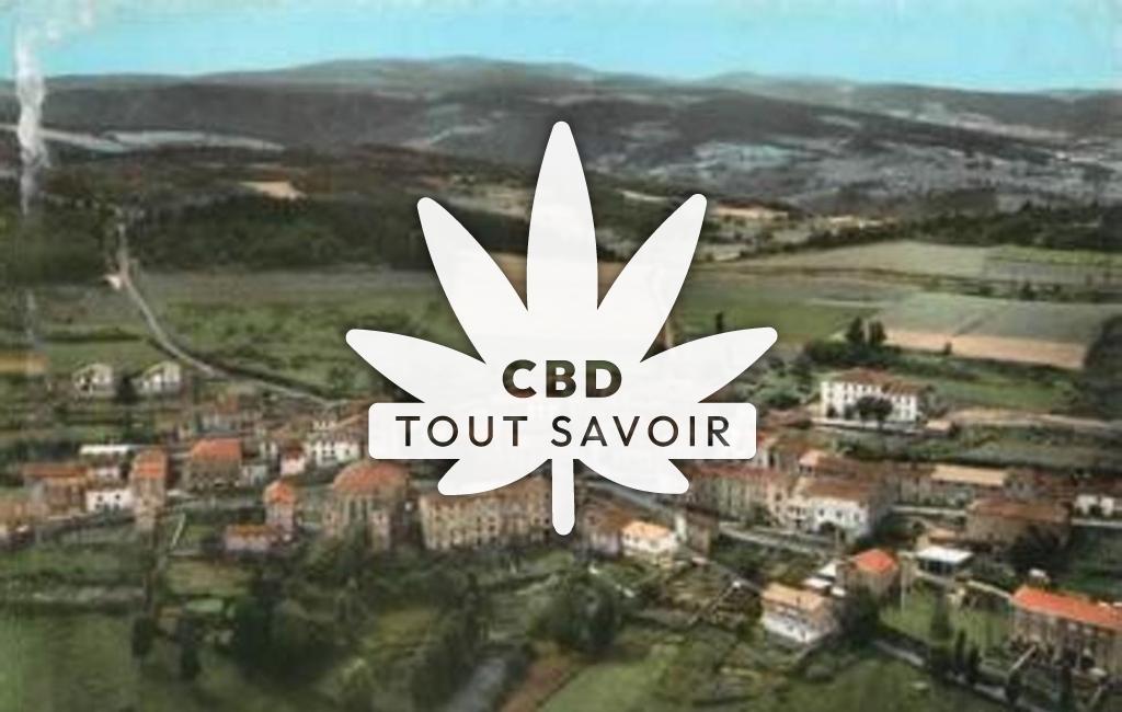 Village à Saint-Bonnet-le-Courreau avec feuille Cannabis CBD
