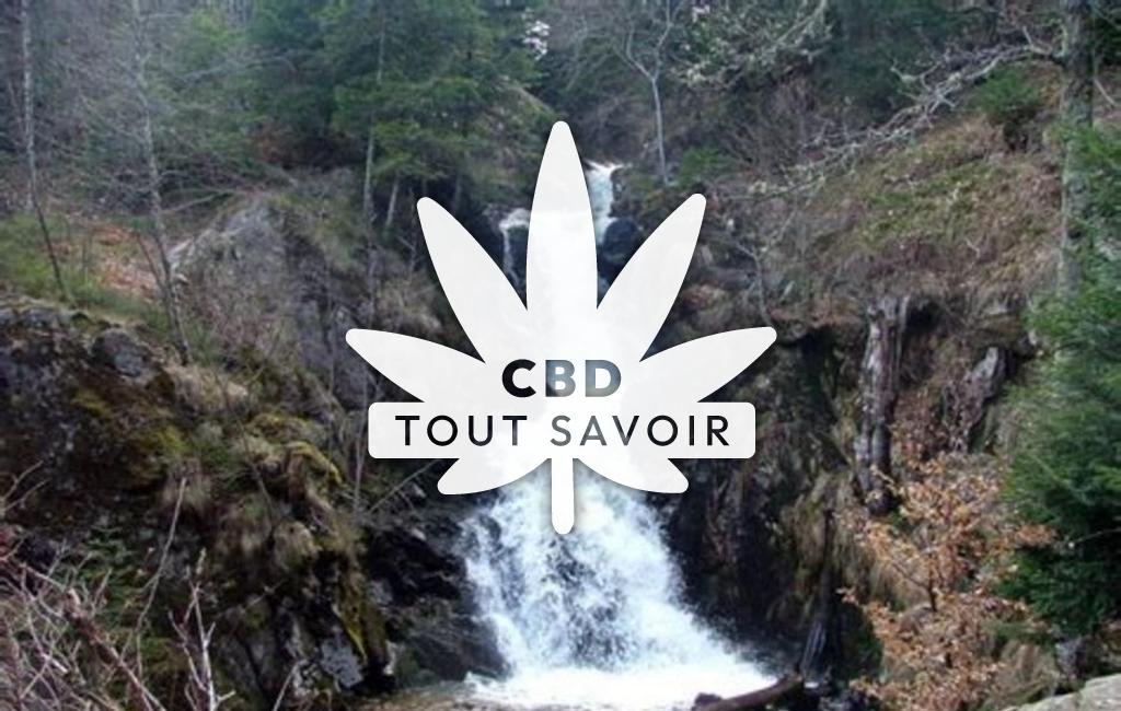 Village à Sauvain avec feuille Cannabis CBD