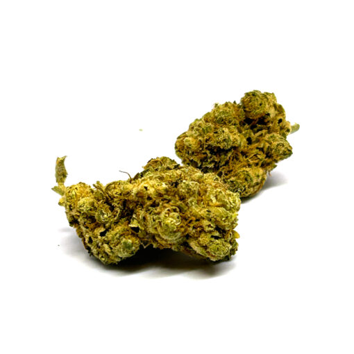 Black Harlequin - Fleurs CBD<br/><b>16,1% CBD</b> – Image 2