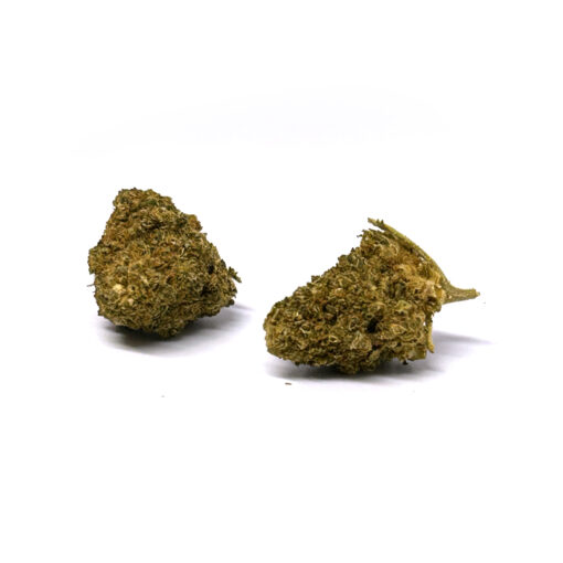 Critical Punch - Fleurs CBD<br/><b>12,9% CBD</b> – Image 2