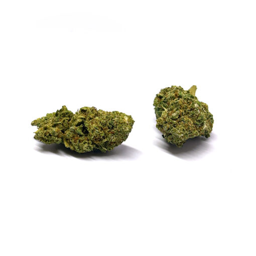 Tropicana - Fleurs CBD<br/><b>12,1% CBD</b> – Image 2