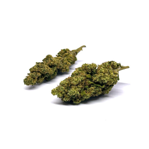 Mango - Fleurs CBD<br/><b>14,8% CBD</b> – Image 2