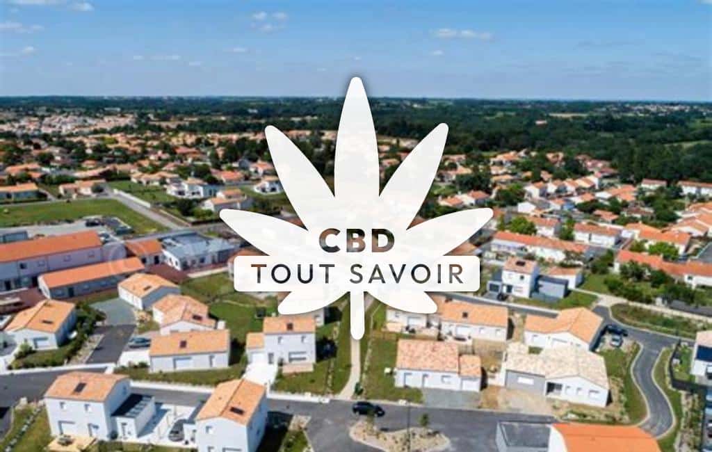 Village à Aigrefeuille-sur-Maine avec feuille Cannabis CBD