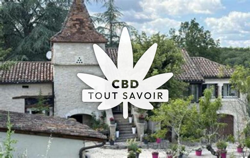 Village à Flaujac-Poujols avec feuille Cannabis CBD