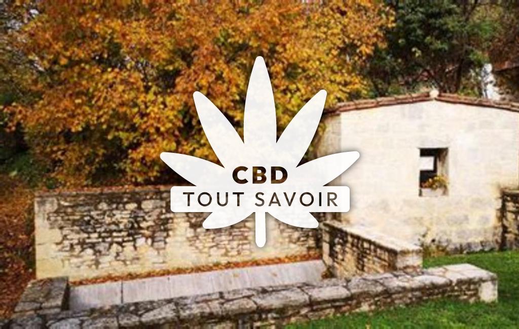 Village à Maxou avec feuille Cannabis CBD