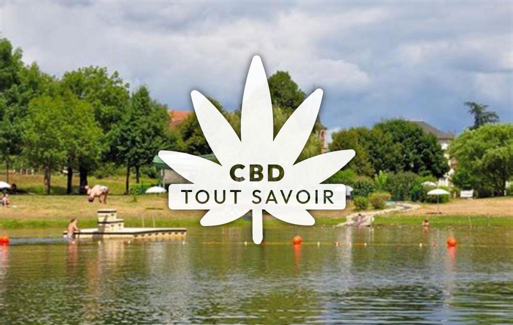 Village à Tauriac avec feuille Cannabis CBD
