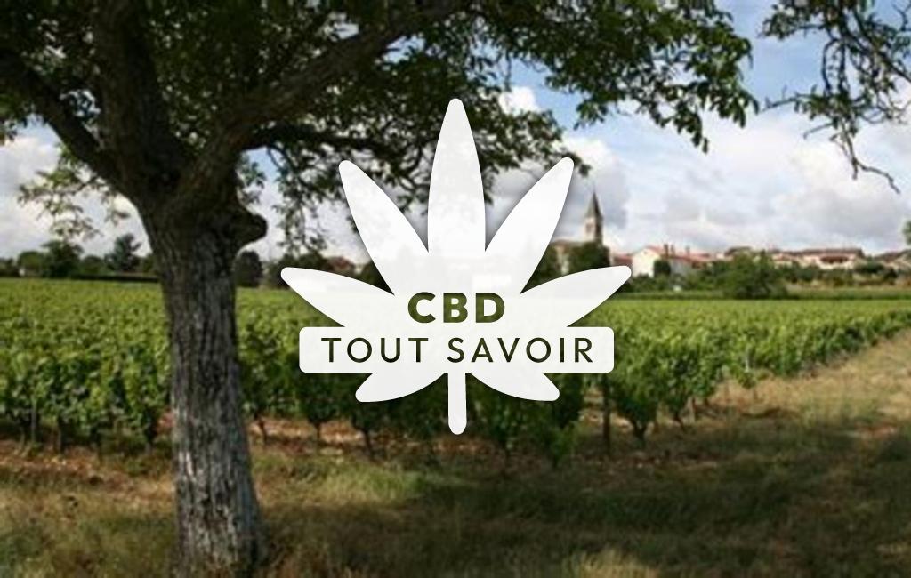 Village à Sauzet avec feuille Cannabis CBD