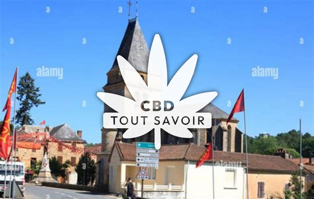 Village à Frayssinet-le-Gelat avec feuille Cannabis CBD