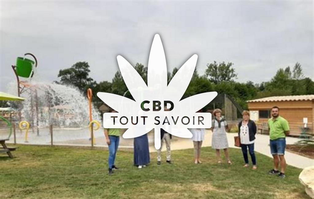 Village à Caubon-Saint-Sauveur avec feuille Cannabis CBD