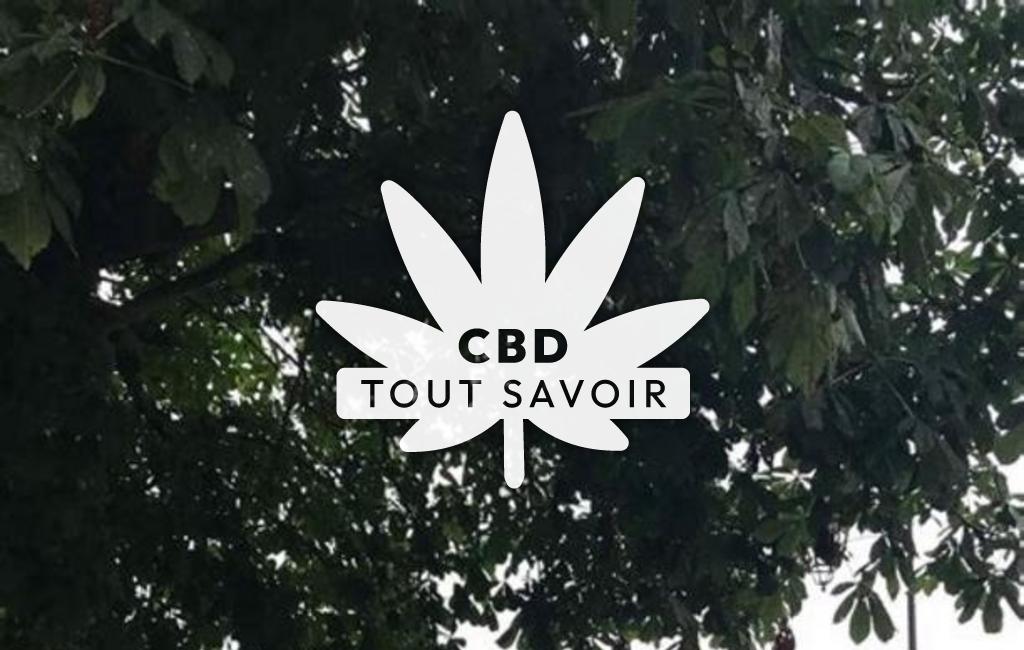 Village à Bazens avec feuille Cannabis CBD
