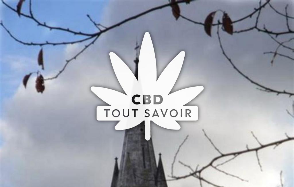 Village à Saint-Sylvestre-sur-Lot avec feuille Cannabis CBD