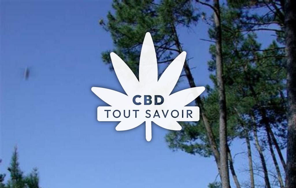 Village à Caubeyres avec feuille Cannabis CBD