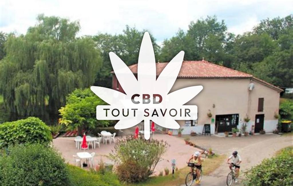 Village à Villefranche-du-Queyran avec feuille Cannabis CBD