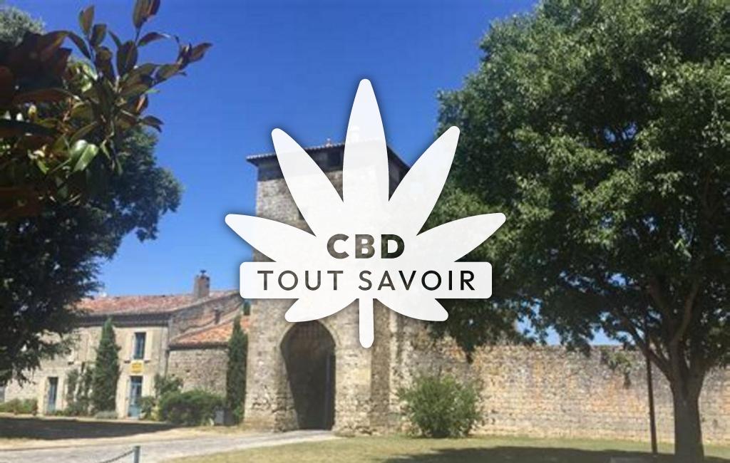 Village à Vianne avec feuille Cannabis CBD