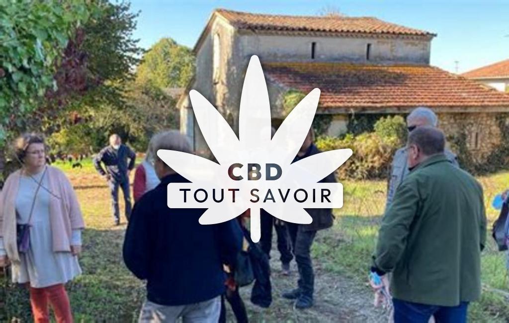 Village à Cocumont avec feuille Cannabis CBD