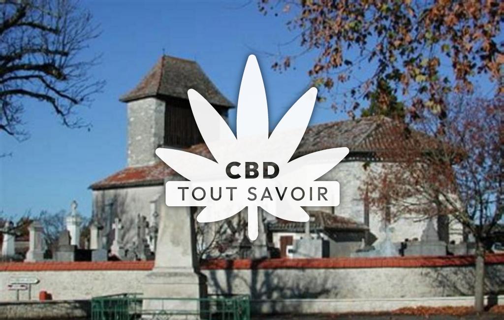 Village à Sainte-Colombe-de-Villeneuve avec feuille Cannabis CBD