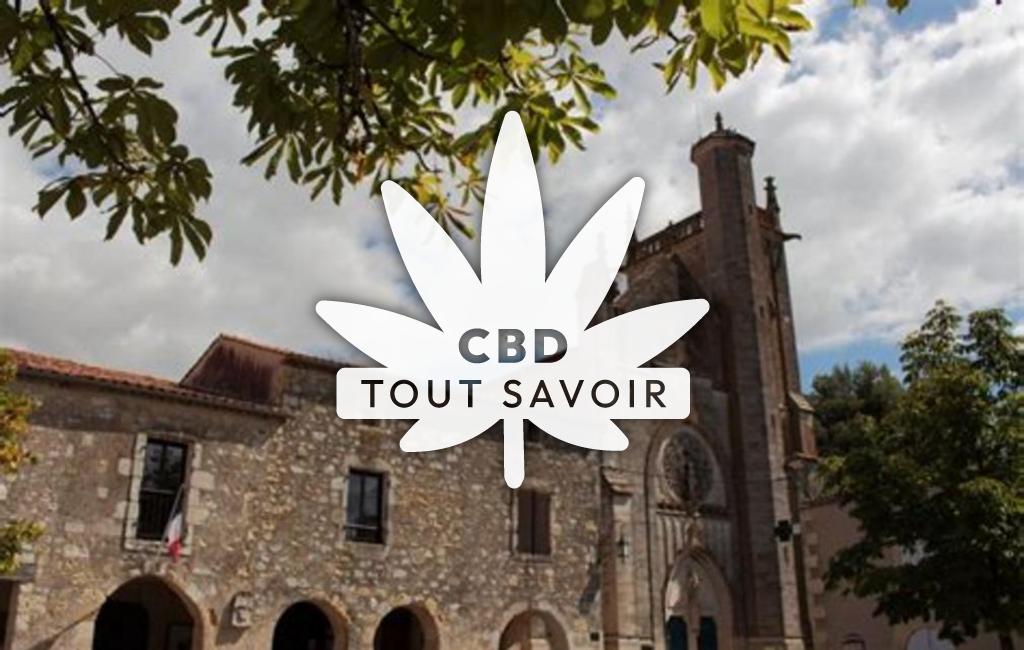Village à Saint-Vincent-de-Lamontjoie avec feuille Cannabis CBD
