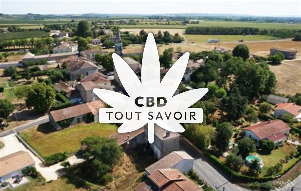 Village à Saint-Etienne-de-Fougeres avec feuille Cannabis CBD