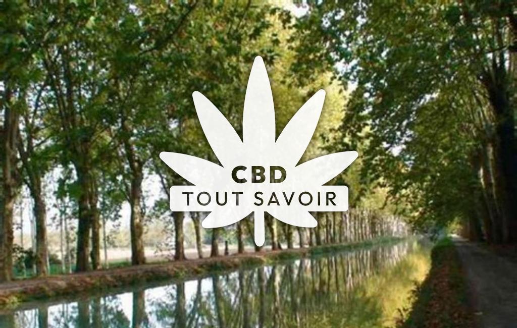 Village à Caumont-sur-Garonne avec feuille Cannabis CBD