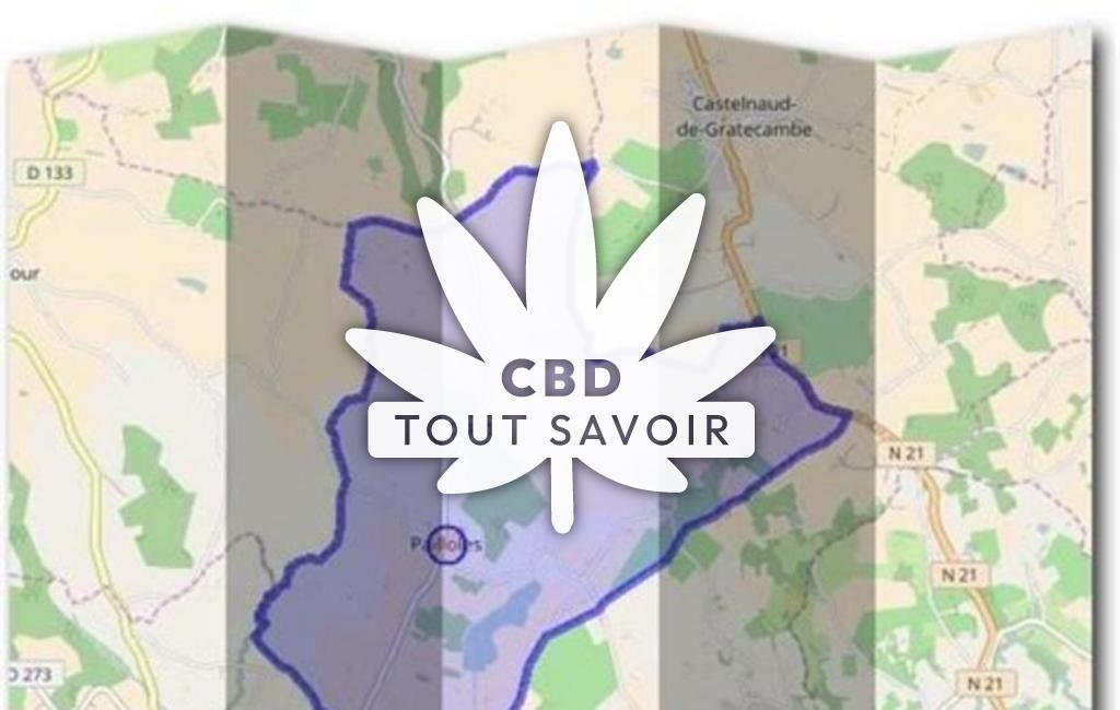 Village à Pailloles avec feuille Cannabis CBD