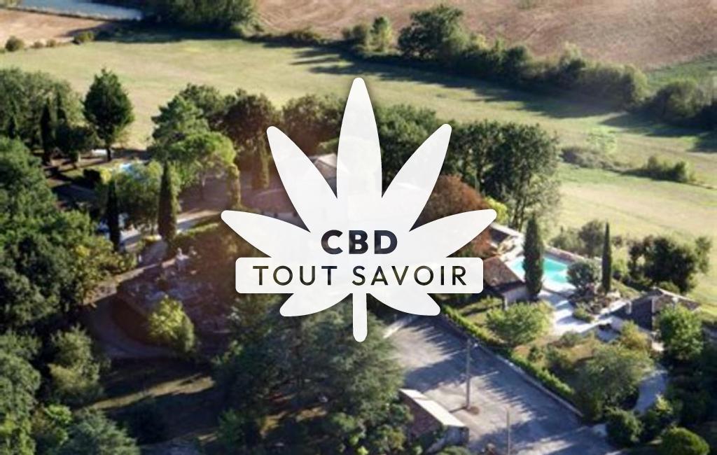 Village à Blaymont avec feuille Cannabis CBD