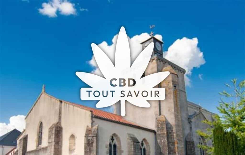 Village à La-Seguiniere avec feuille Cannabis CBD