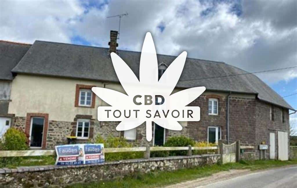 Village à Villebaudon avec feuille Cannabis CBD