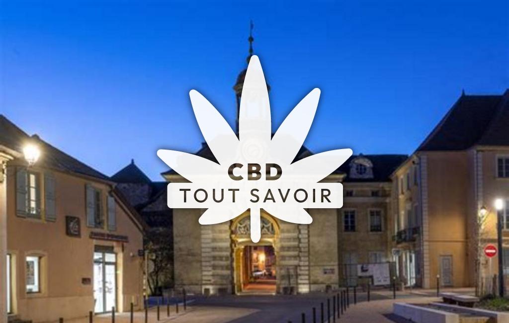 Village à Givry-les-Loisy avec feuille Cannabis CBD