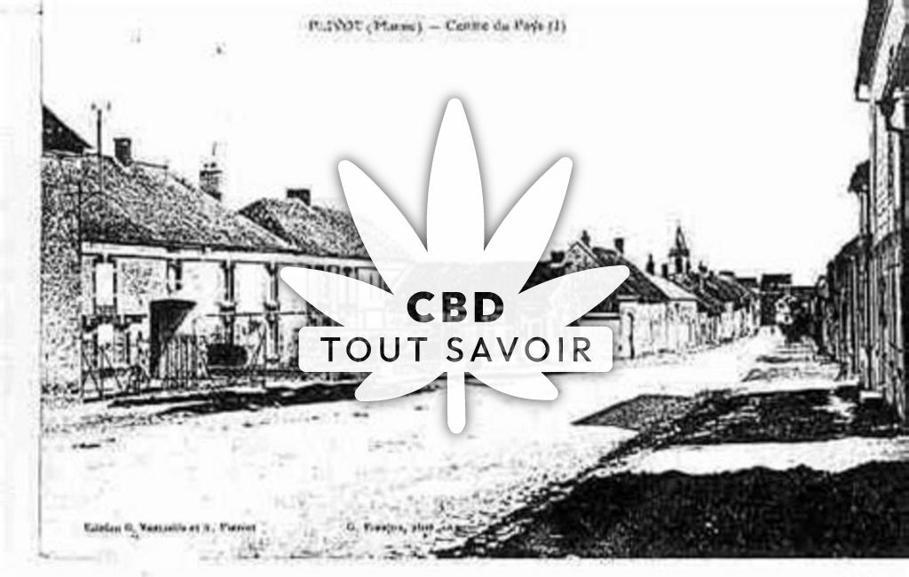 Village à Pocancy avec feuille Cannabis CBD