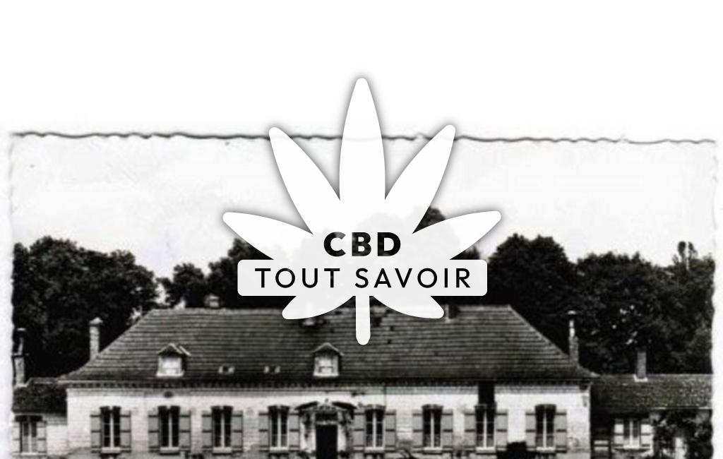 Village à Vouzy avec feuille Cannabis CBD