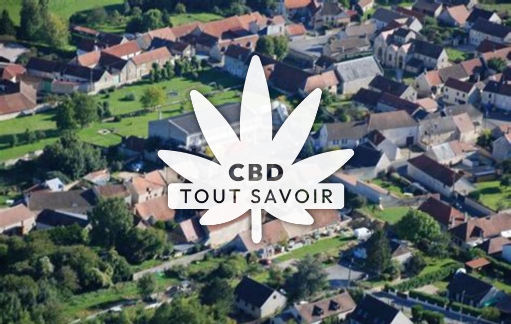 Village à Savigny-sur-Ardres avec feuille Cannabis CBD