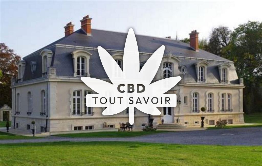 Village à Serzy-Et-Prin avec feuille Cannabis CBD