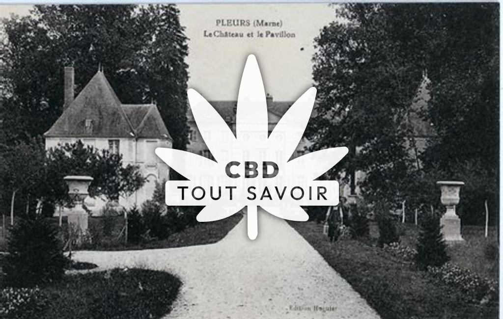 Village à Pleurs avec feuille Cannabis CBD