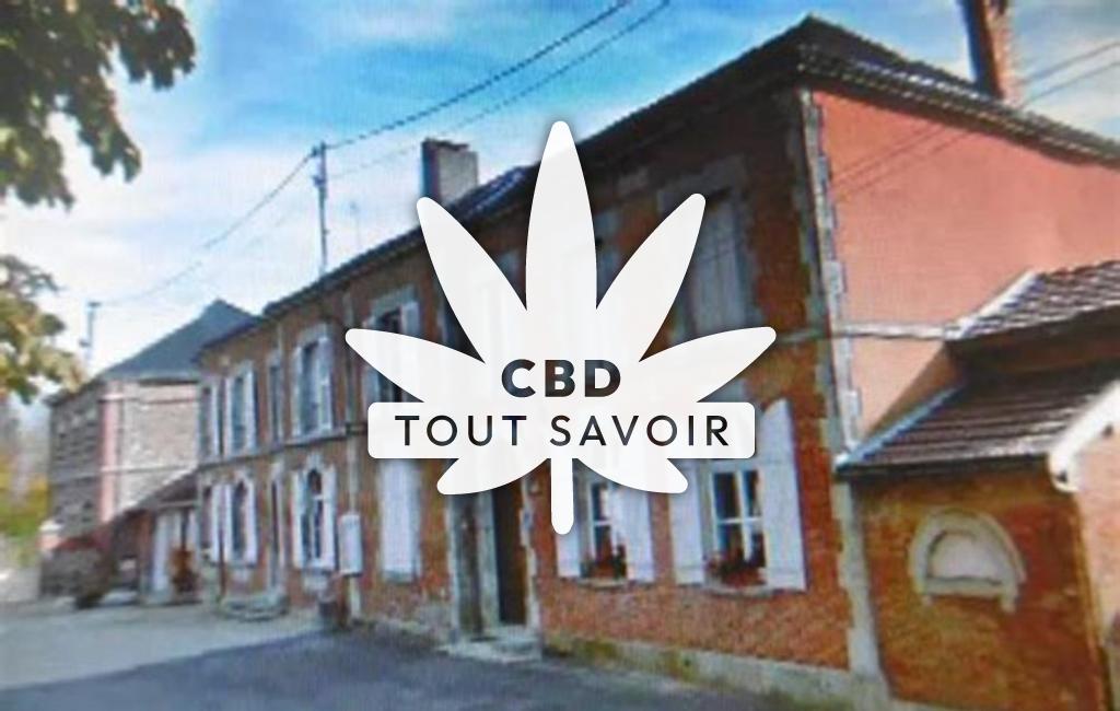 Village à Cheppes-la-Prairie avec feuille Cannabis CBD