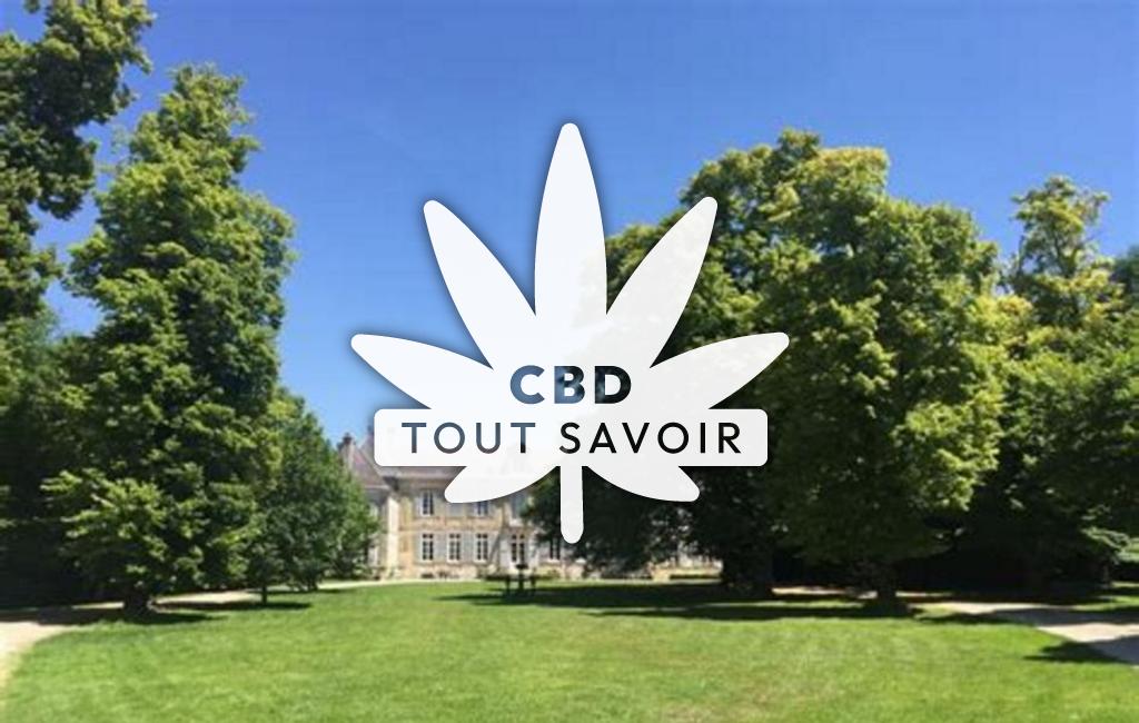 Village à Mairy-sur-Marne avec feuille Cannabis CBD