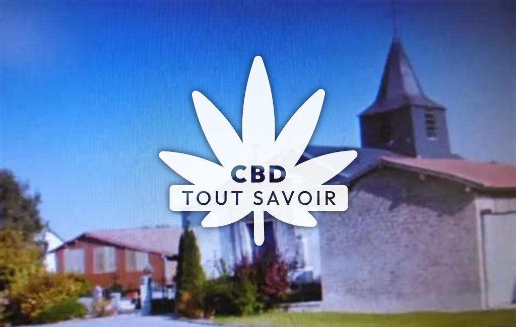 Village à Saint-Martin-aux-Champs avec feuille Cannabis CBD
