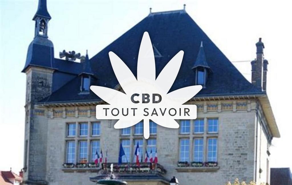Village à Sermaize-les-Bains avec feuille Cannabis CBD