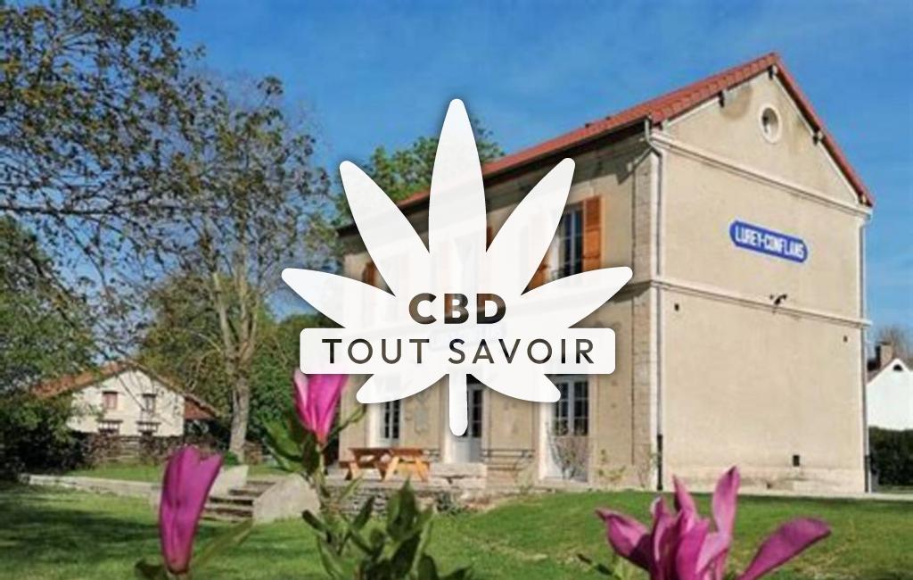 Village à Esclavolles-Lurey avec feuille Cannabis CBD