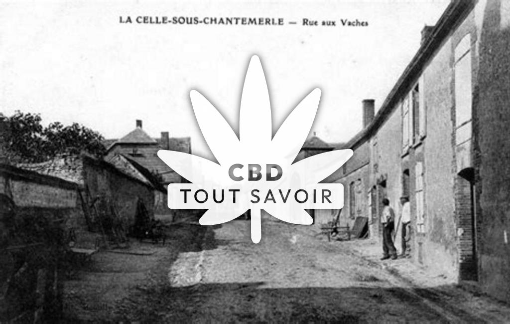 Village à La-Celle-sous-Chantemerle avec feuille Cannabis CBD