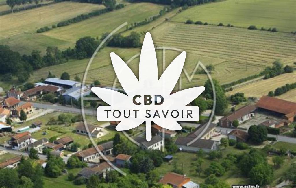 Village à Gigny-Bussy avec feuille Cannabis CBD