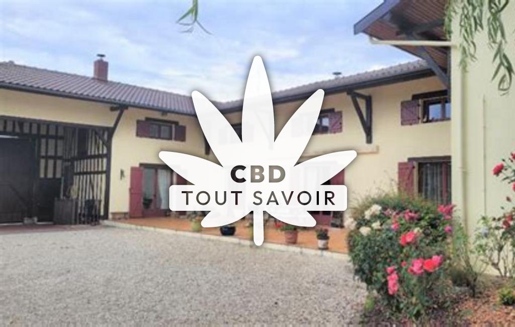 Village à Moncetz-l'Abbaye avec feuille Cannabis CBD