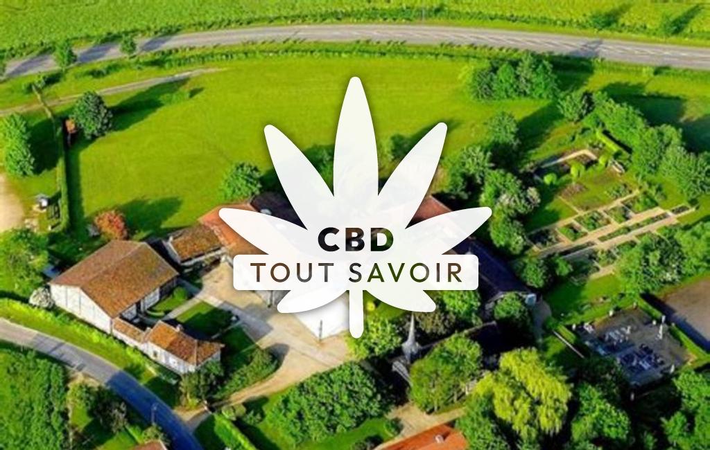 Village à Sainte-Marie-du-Lac-Nuisement avec feuille Cannabis CBD