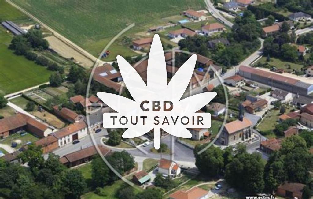 Village à Ecriennes avec feuille Cannabis CBD