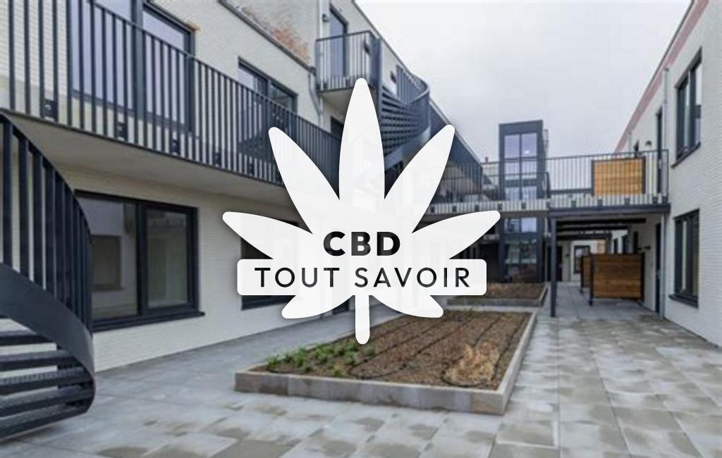 Village à Lisse-en-Champagne avec feuille Cannabis CBD