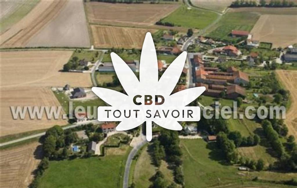 Village à Vavray-le-Petit avec feuille Cannabis CBD