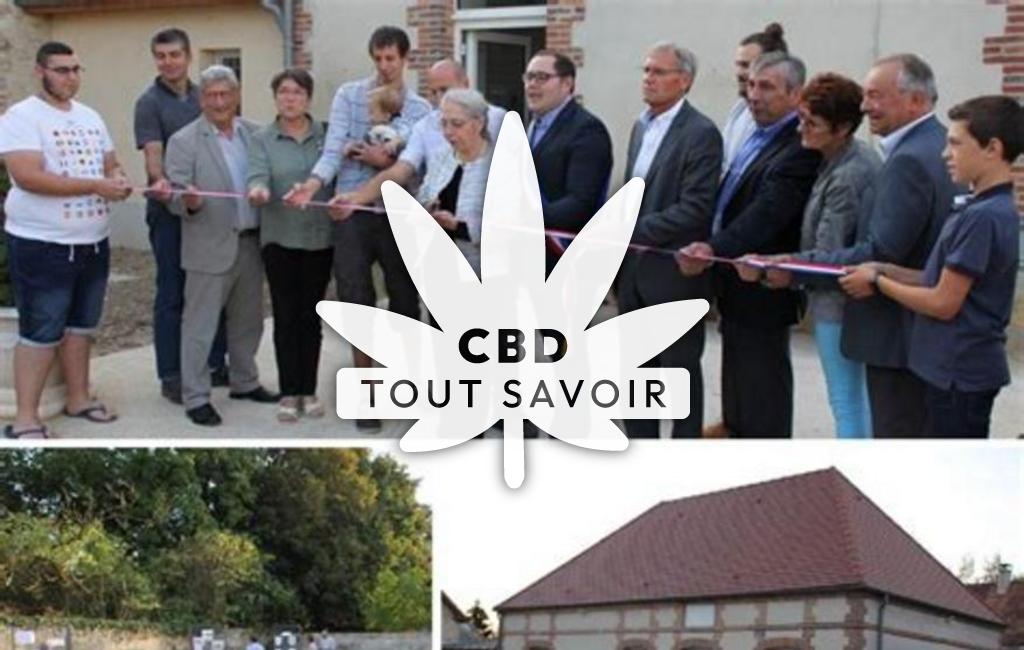 Village à Les-Essarts-le-Vicomte avec feuille Cannabis CBD